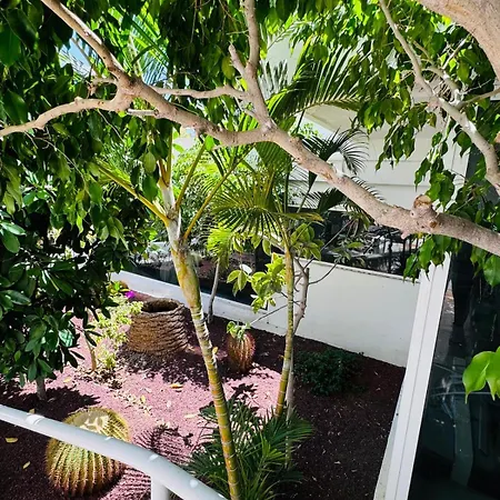 Jameo De Agua, Americas Sea View Appartement